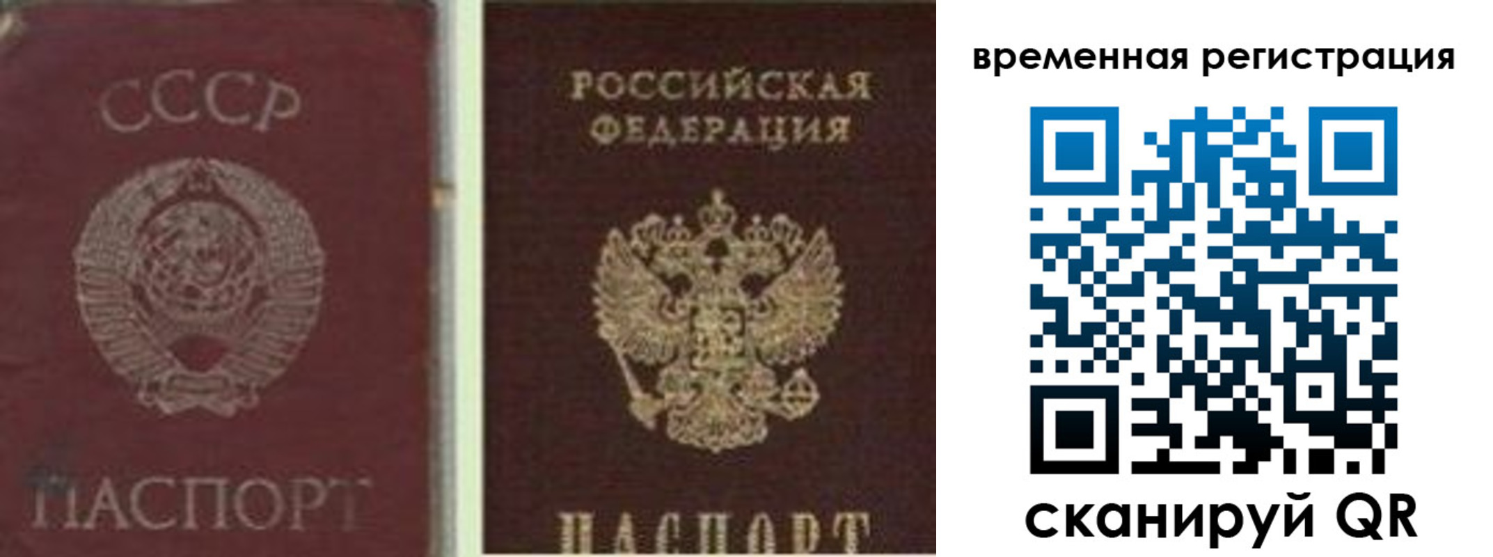прописка для школы в Новороссийске